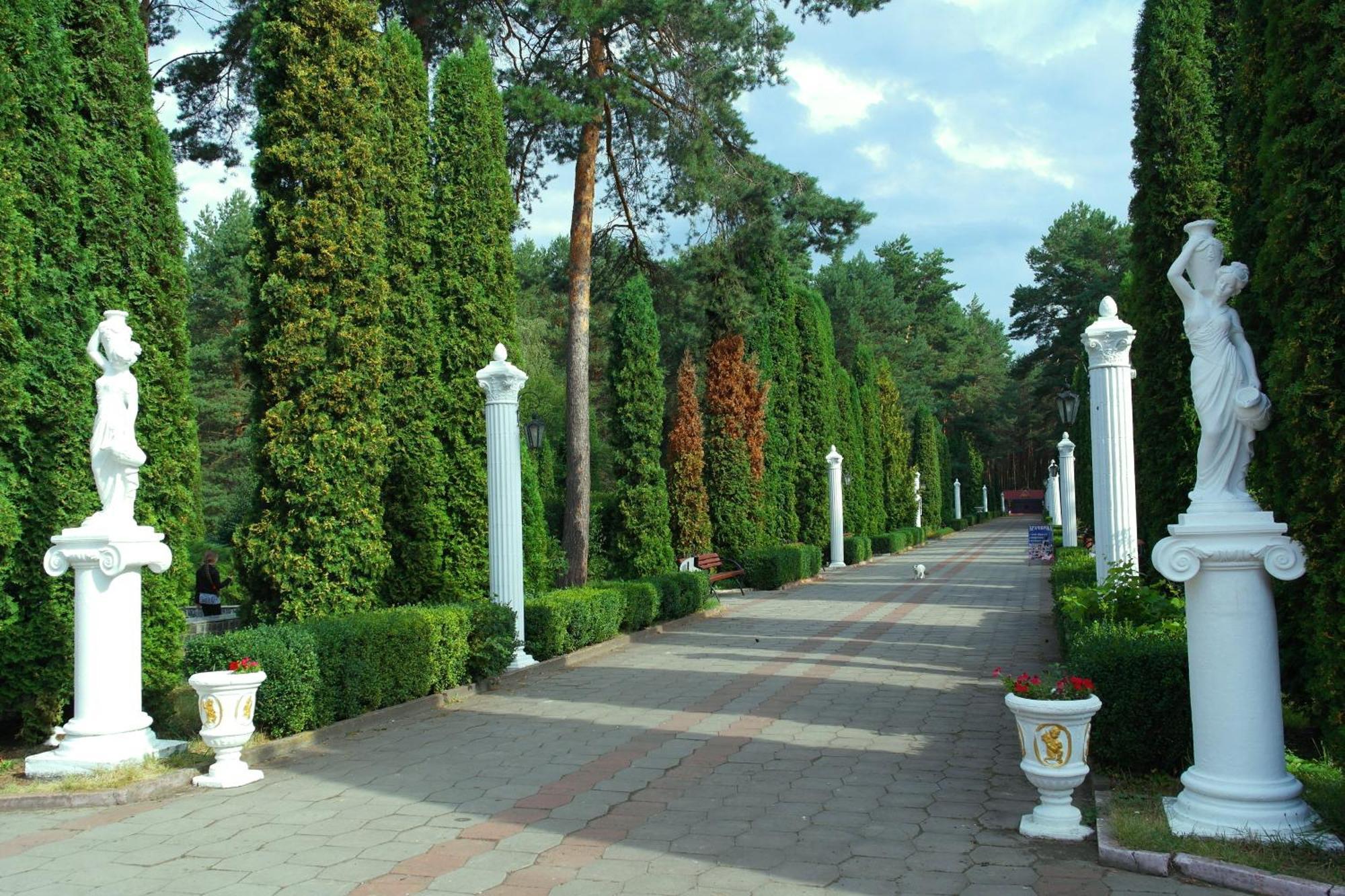 Санаторій Червона Калина Zhobryn المظهر الخارجي الصورة